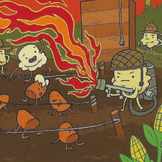 Camp Kernel
