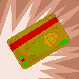 Ro's Credit Card